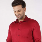 Solid Cotton Slim Mens Formal Shirt