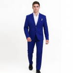 Man solid single breasted formal and casual blazer (Royal Blue)